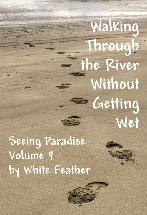 Cover of the book Seeing Paradise, Volume 9: Walking Through the River Without Getting Wet by White Feather, White Feather