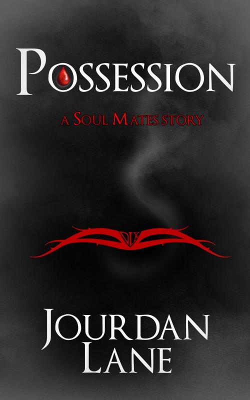 Cover of the book Possession by Jourdan Lane, Jourdan Lane