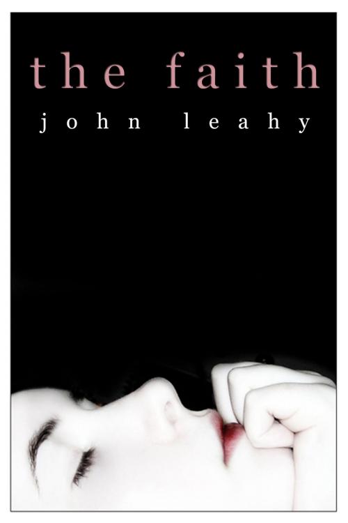 Cover of the book The Faith by John Leahy, Open Books