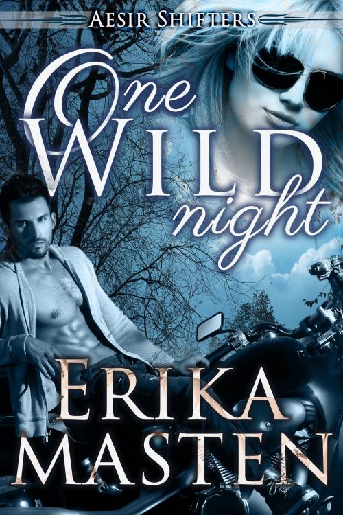 Cover of the book One Wild Night by Erika Masten, Erika Masten