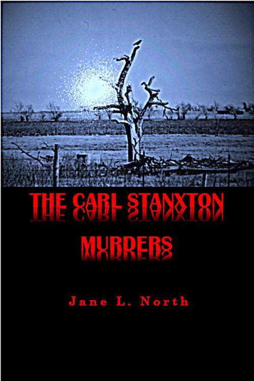 Cover of the book The Carl Stanxton Murders by Jane L. North, Jane L. North