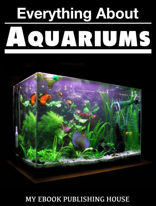 Cover of the book Everything About Aquariums by My Ebook Publishing House, My Ebook Publishing House