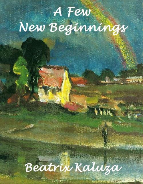 Cover of the book A Few New Beginnings by Beatrix Kaluza, Beatrix Kaluza