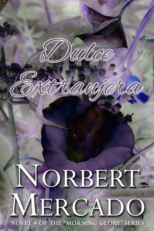 Cover of the book Dulce Extranjera by Norbert Mercado, Norbert Mercado