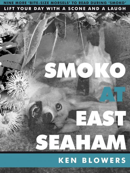 Cover of the book Smoko At East Seaham by Ken Blowers, Ken Blowers