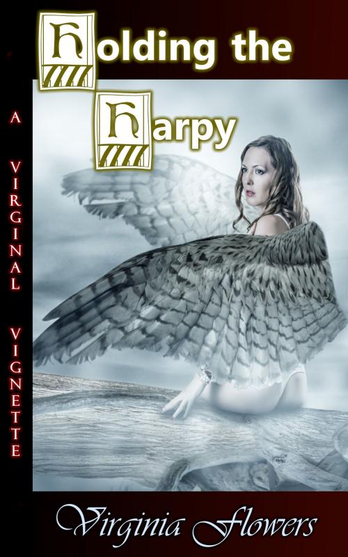Cover of the book Holding the Harpy by Virginia Flowers, Virginia Flowers