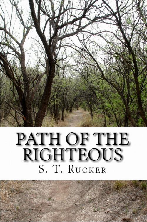 Cover of the book Path of the Righteous by S.T. Rucker, S.T. Rucker