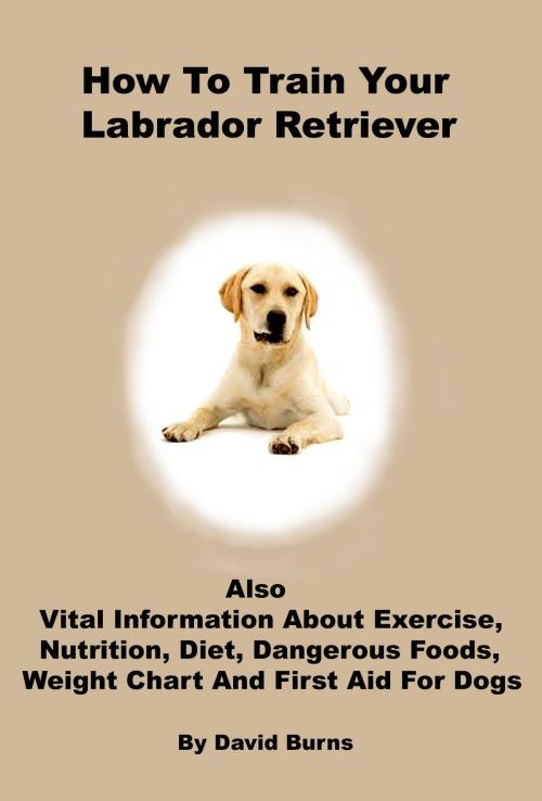 Cover of the book How To Train Your Labrador Retriever by David Burns, David Burns