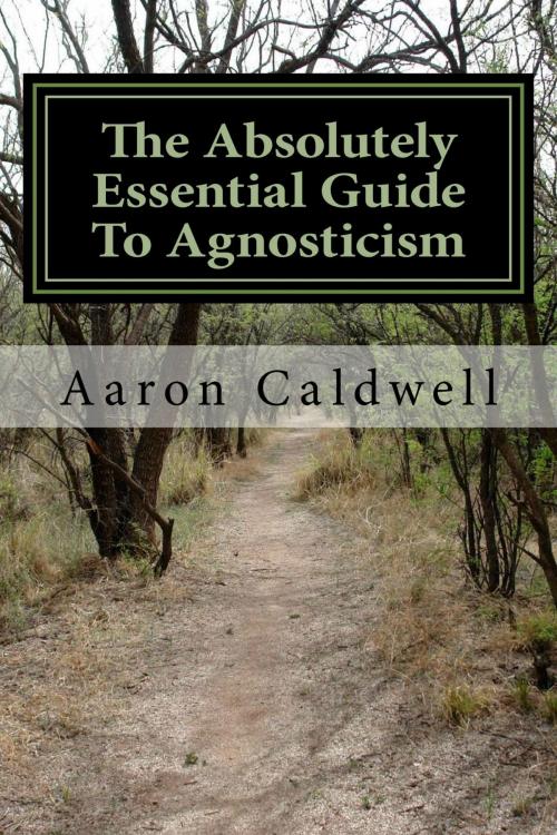 Cover of the book The Absolutely Essential Guide To Agnosticism by Aaron Caldwell, infoway