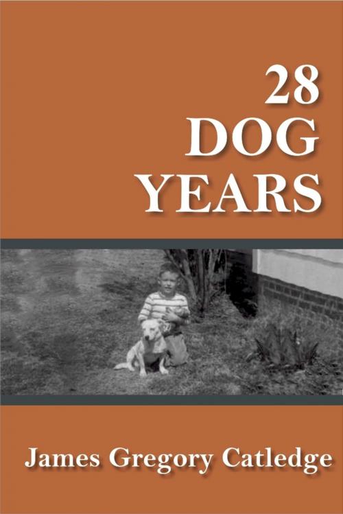 Cover of the book 28 Dog Years by James Gregory Catledge, Lulu.com
