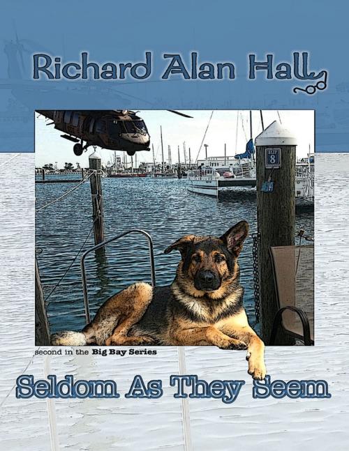 Cover of the book Seldom As They Seem by Richard Alan Hall, Lulu.com