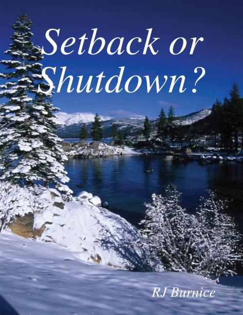 Cover of the book Setback or Shutdown? by RJ Burnice, Lulu.com