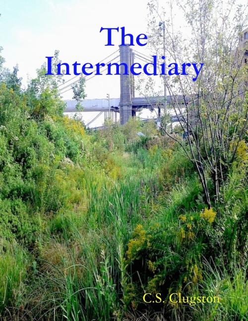 Cover of the book The Intermediary by C.S. Clugston, Lulu.com