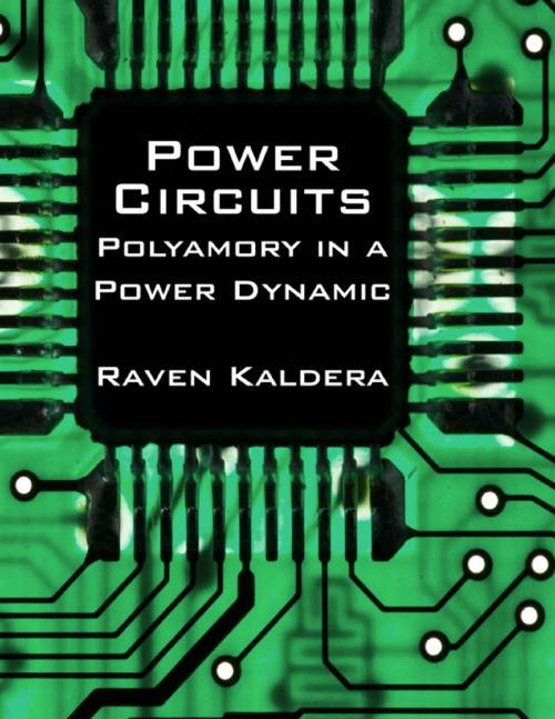 Cover of the book Power Circuits: Polyamory In a Power Dynamic by Raven Kaldera, Lulu.com