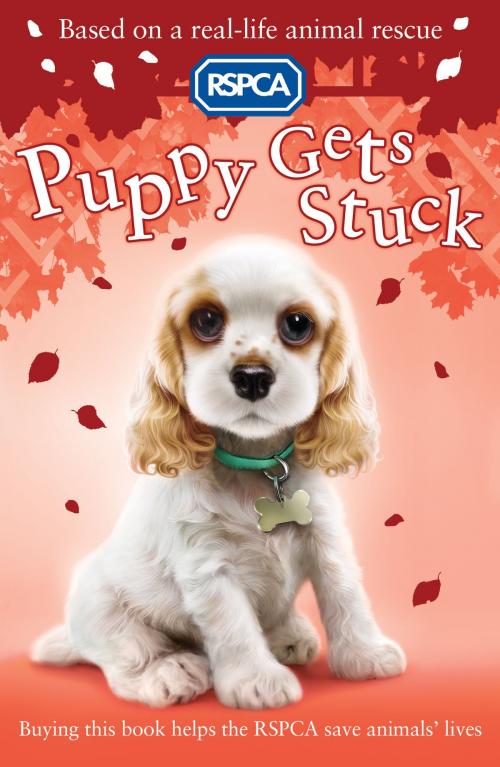 Cover of the book RSPCA: Puppy Gets Stuck by Sue Mongredien, Scholastic UK