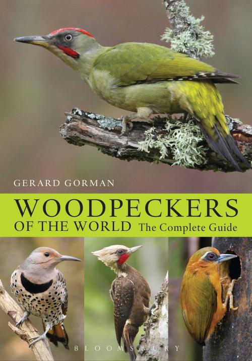 Cover of the book Woodpeckers of the World by Gerard Gorman, Bloomsbury Publishing