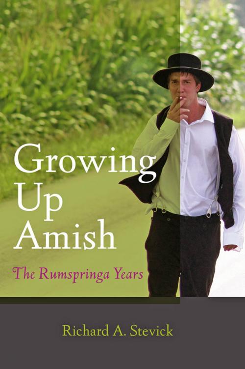 Cover of the book Growing Up Amish by Richard A. Stevick, Johns Hopkins University Press