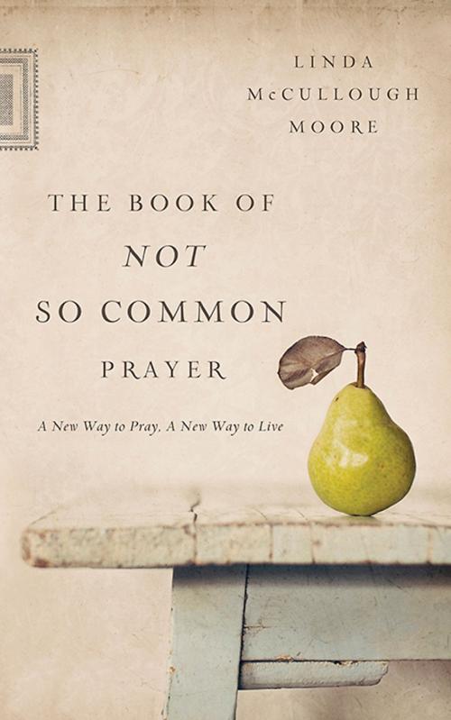 Cover of the book The Book of Not So Common Prayer by Linda McCullough Moore, Abingdon Press
