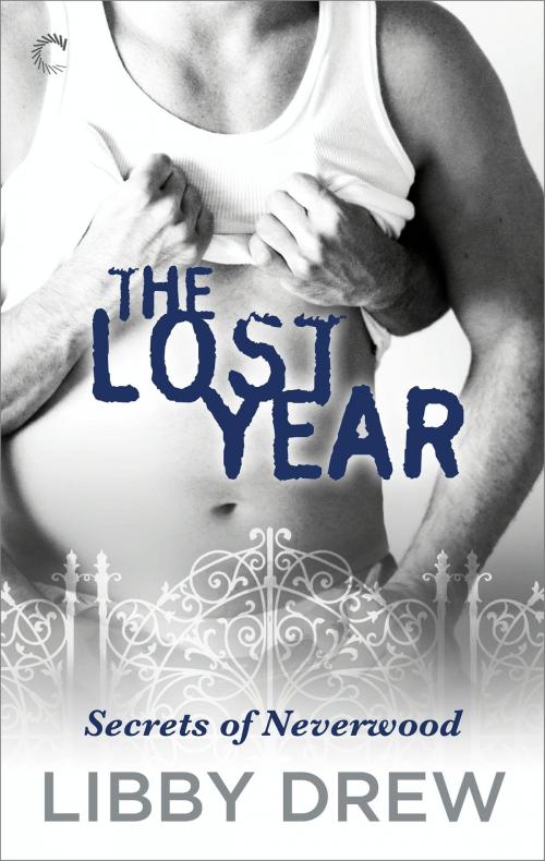 Cover of the book The Lost Year by Libby Drew, Carina Press