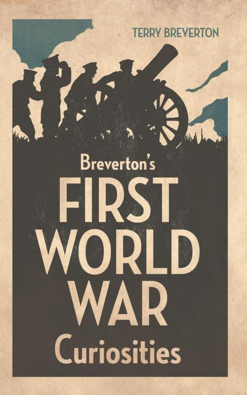 Cover of the book Breverton's First World War Curiosities by Terry Breverton, Amberley Publishing