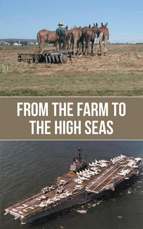 Cover of the book From the Farm to the High Seas by Del Strode, Abbott Press