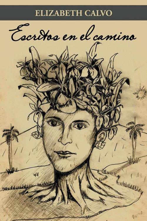 Cover of the book Escritos En El Camino by Elizabeth Calvo, Palibrio