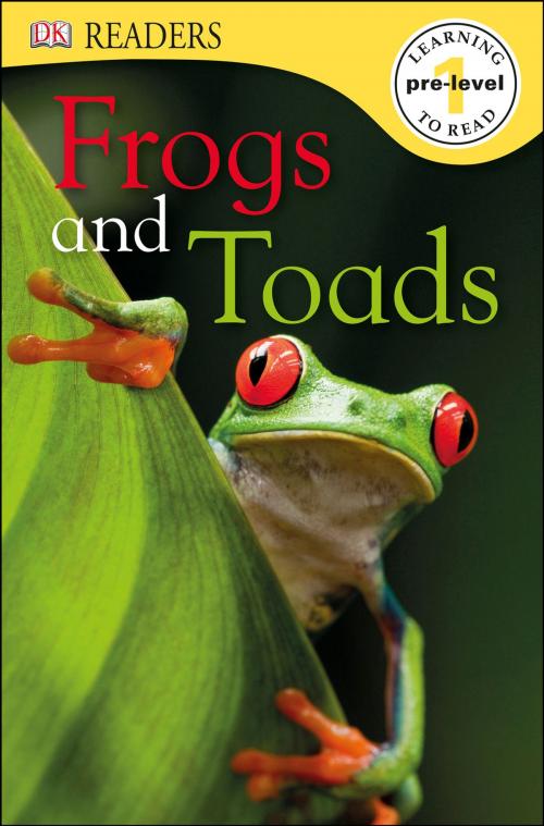 Cover of the book DK Readers L0: Frogs & Toads by Camilla Gersh, DK, DK Publishing