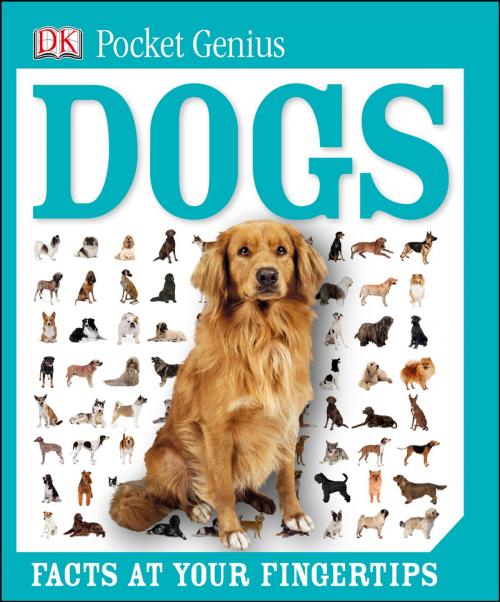 Cover of the book Pocket Genius: Dogs by DK, DK Publishing