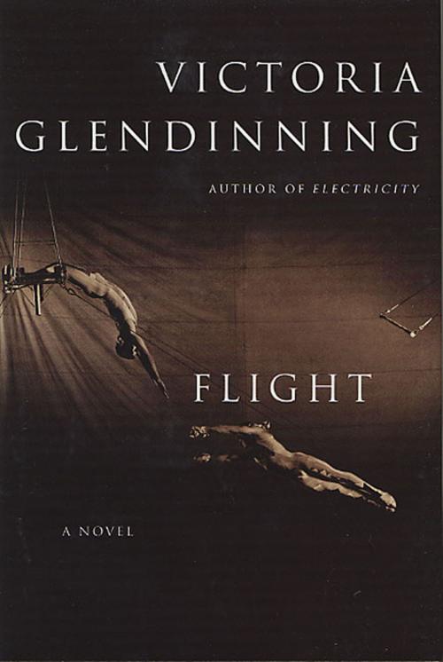 Cover of the book Flight by Victoria Glendinning, St. Martin's Press