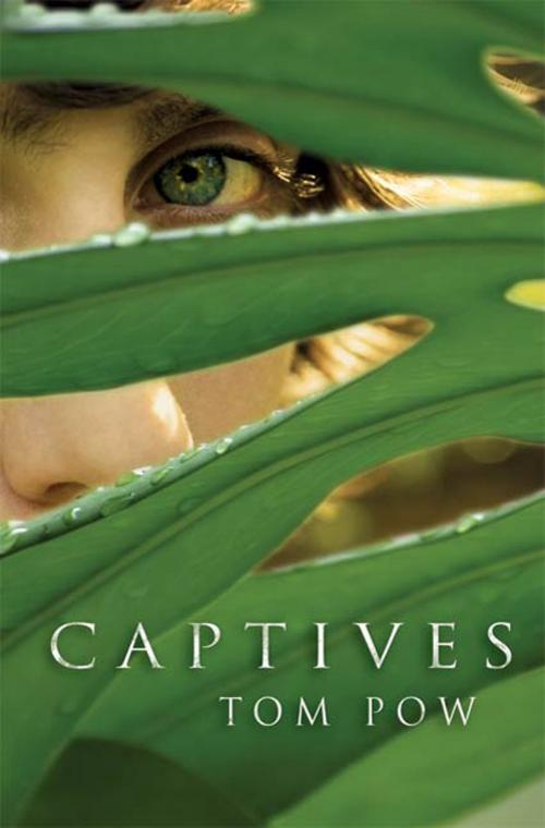 Cover of the book Captives by Tom Pow, Roaring Brook Press