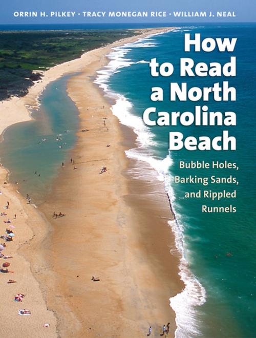 Cover of the book How to Read a North Carolina Beach by Orrin H. Pilkey, Tracy Monegan Rice, William J. Neal, The University of North Carolina Press
