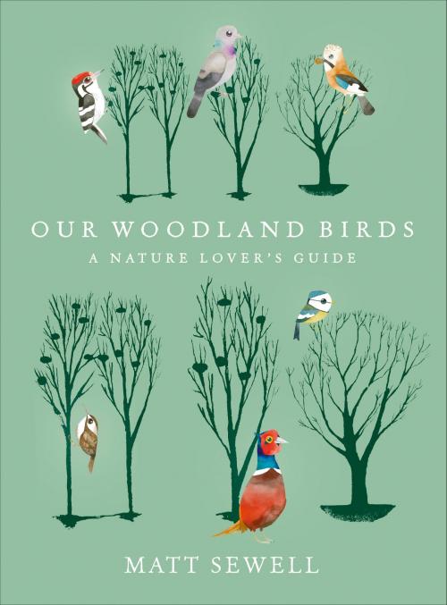 Cover of the book Our Woodland Birds by Matt Sewell, Ebury Publishing