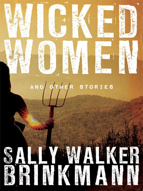 Cover of the book Wicked Women and Other Stories by Sally Walker Brinkmann, Wildside Press LLC