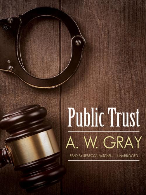 Cover of the book Public Trust by A. W. Gray, Blackstone Publishing