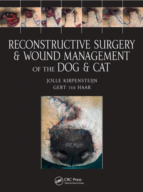 Cover of the book Reconstructive Surgery and Wound Management of the Dog and Cat by Jolle Kirpensteijn, Gert ter Haar, CRC Press