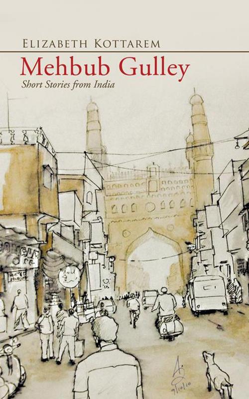 Cover of the book Mehbub Gulley by Elizabeth Kottarem, Partridge Publishing India