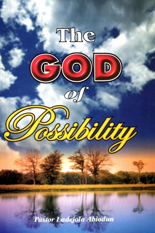Cover of the book The God of Possibility by Ladejola Abiodun, BookBaby