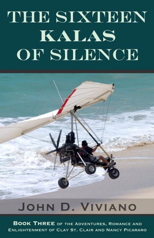 Cover of the book The Sixteen Kalas of Silence by John D. Viviano, BookBaby