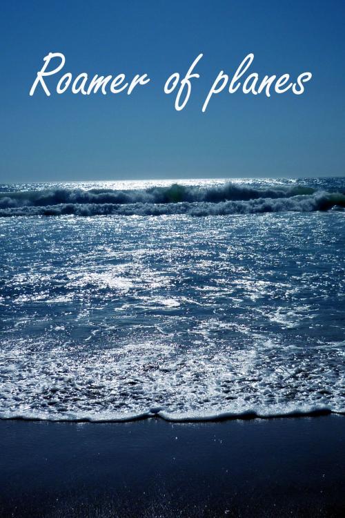 Cover of the book Roamer of Planes by Steve Taylor, BookBaby