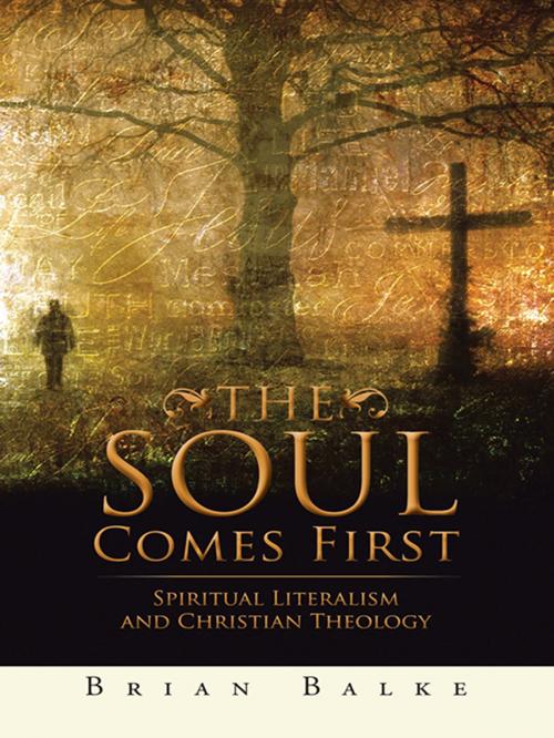 Cover of the book The Soul Comes First by BRIAN BALKE, Trafford Publishing