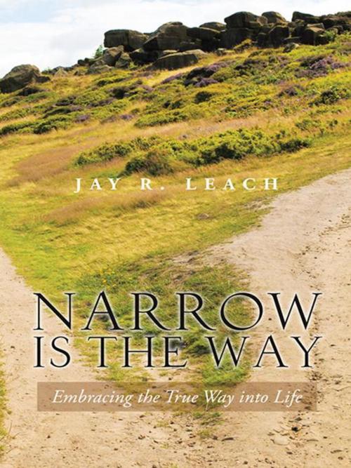 Cover of the book Narrow Is the Way by Jay R. Leach, Trafford Publishing