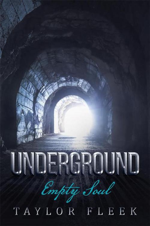 Cover of the book Underground by Taylor Fleek, WestBow Press