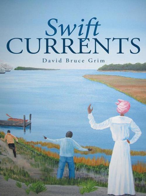 Cover of the book Swift Currents by David Bruce Grim, iUniverse