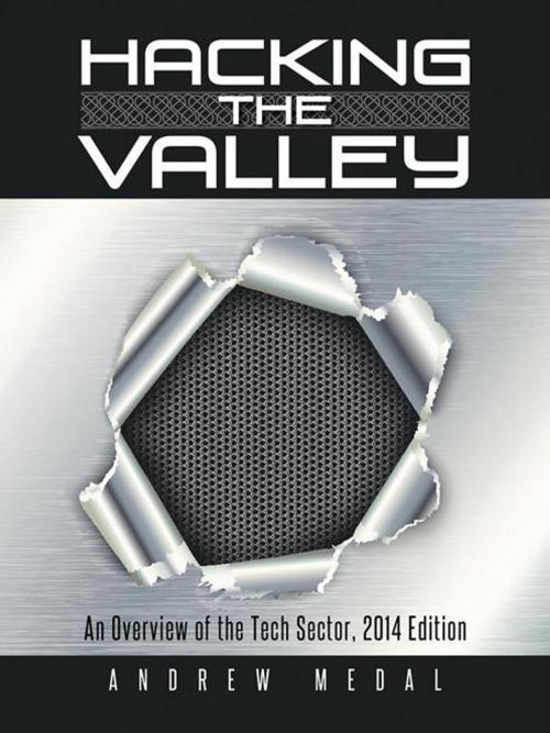 Cover of the book Hacking the Valley by Andrew Medal, AuthorHouse
