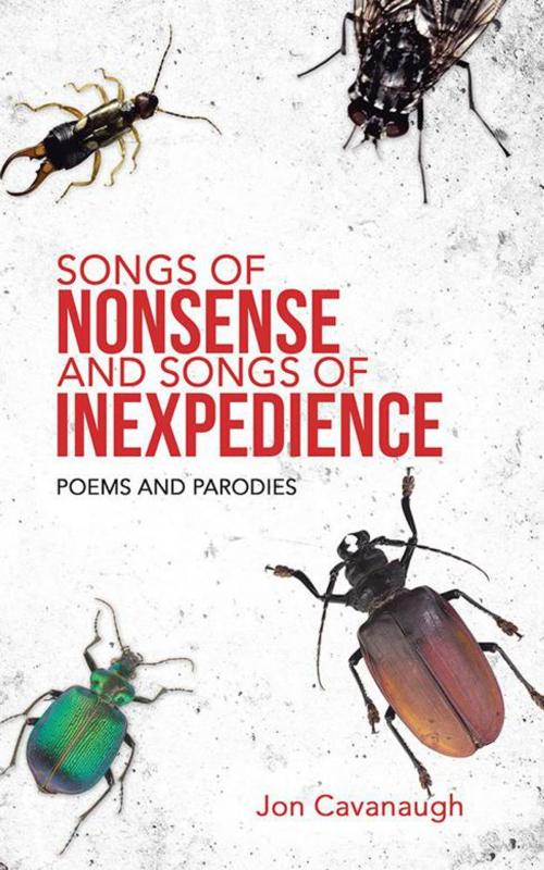 Cover of the book Songs of Nonsense and Songs of Inexpedience by Jon Cavanaugh, AuthorHouse