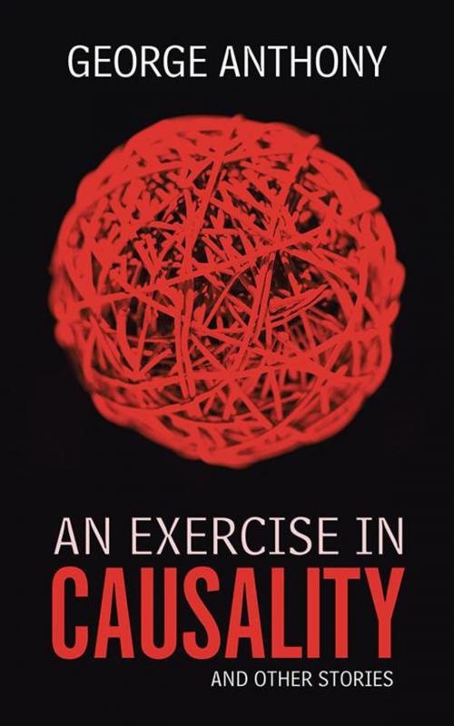Cover of the book An Exercise in Causality by George Anthony, AuthorHouse UK