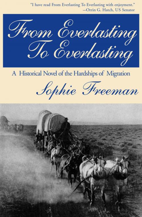 Cover of the book From Everlasting to Everlasting by Sophie Freeman, Open Road Media