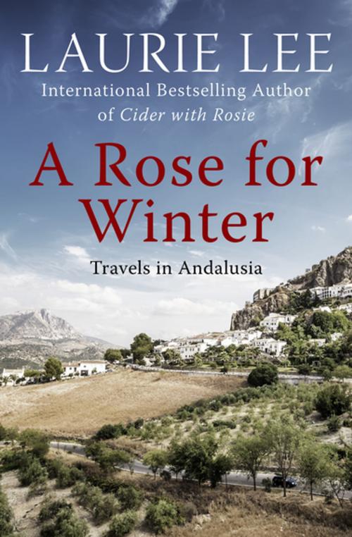 Cover of the book A Rose for Winter by Laurie Lee, Open Road Media