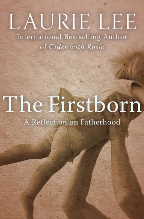 Cover of the book The Firstborn by Laurie Lee, Open Road Media