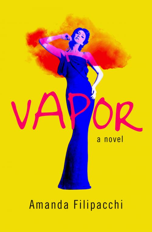 Cover of the book Vapor by Amanda Filipacchi, Open Road Media